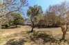 45 Higgins Street, West Gladstone, Qld 4680-Image