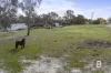45 Hillarys Road, Elmhurst, Vic 3469-Image