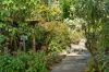 45 Hillside Road, Aldgate, SA 5154-Image