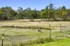45 Kelletts Road, Sloping Main, Tas 7186-Image