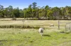 45 Kelletts Road, Sloping Main, Tas 7186-Image