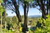 45 Lawn Avenue, Robertson, NSW 2577-Image