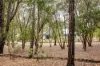 45 Maclaren Drive, Yallingup, WA 6282-Image