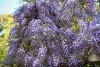 45 Maning Avenue, Sandy Bay, Tas 7005-Image