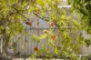45 Marangaroo Drive, Marangaroo, WA 6064-Image
