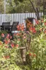 45 McPherson Street, Casterton, Vic 3311-Image