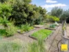 45 Neil Street, Kangaroo Flat, Vic 3555-Image