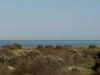 45 Oceanview Drive, Taperoo, SA 5017-Image