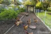 45 Old Brickworks Road, Byford, WA 6122-Image