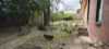 45 Pine Drive, Aberfoyle Park, SA 5159-Image
