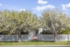 45 Regent Street, Moama, NSW 2731-Image