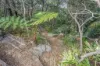 45 Shirlow Avenue, Faulconbridge, NSW 2776-Image