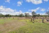 45 Ski Gardens Road, Alton Downs, Qld 4702-Image