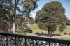 45 Station Street, Petersham, NSW 2049-Image