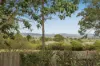 45 Tequesta Drive, Beaudesert, Qld 4285-Image