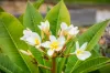 45 The Crest, Mirador, NSW 2548-Image