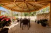 45 Trafalgar Drive, Kippa-Ring, Qld 4021-Image