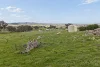 45 Triggs Close, Manton NSW 2582-Image