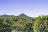45 Tuckeroo Avenue, Mullumbimby, NSW 2482-Image