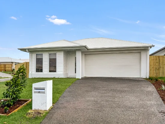 45 Tulip Tree Street, Park Ridge, Qld 4125