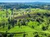 45 Walmsley Road, Bexhill, NSW 2480-Image