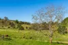 45 Walmsley Road, Bexhill, NSW 2480-Image