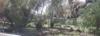 45 Walton Street, Corrigin, WA 6375-Image