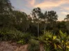 45 Williams Street, Coalfalls, Qld 4305-Image