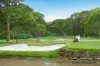 45 Winders Place, Banora Point, NSW 2486-Image