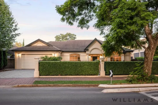 45 Wood Street, Unley Park, SA 5061