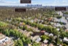 45 Yarraford Avenue, Alphington, Vic 3078-Image