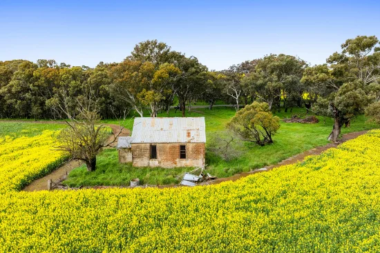 450 Cullinga Road, Cootamundra, NSW 2590