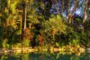 4500 Captain Cook Highway, Wangetti, Qld 4877-Image