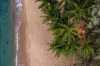 4500 Captain Cook Highway, Wangetti, Qld 4877-Image