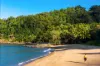4500 Captain Cook Highway, Wangetti, Qld 4877-Image