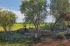 452 Fifth Street, Merbein, Vic 3505-Image