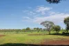 452 Fifth Street, Merbein, Vic 3505-Image