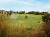 452 Overthrow Way, Wyndham Vale, Vic 3024-Image