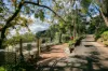 453 Belair Road, Belair, SA 5052-Image
