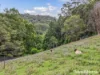 454 Crabbes Creek Road, Crabbes Creek, NSW 2483-Image