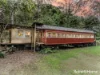 454 Crabbes Creek Road, Crabbes Creek, NSW 2483-Image