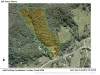 454 Crabbes Creek Road, Crabbes Creek, NSW 2483-Floorplan