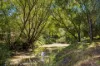 454 River Road, Mylor, SA 5153-Image