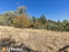457 Moonbi Gap Road, Moore Creek, NSW 2340-Image
