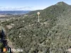 457 Moonbi Gap Road, Moore Creek, NSW 2340-Image
