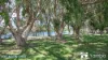 45A Witonga Drive, Yamba, NSW 2464-Image