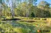 46-47 Bushland Road, Moruya, NSW 2537-Image
