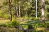 46-50 Akoonah Drive, Beechmont QLD 4211-Image