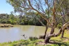 46 Agnes Gillespie Drive, Hayborough, SA 5211-Image