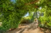 46 ALBERT STREET, Darley, Vic 3340-Image